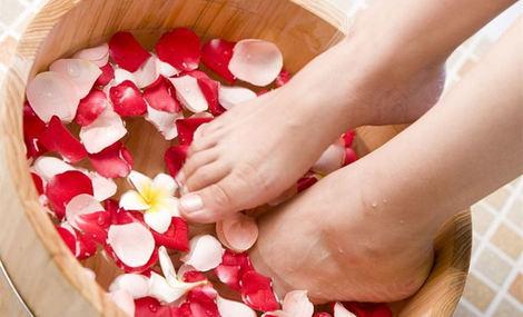 全国喝茶网站论坛